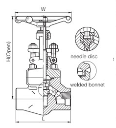 Forged Steel Globe Valve (2)