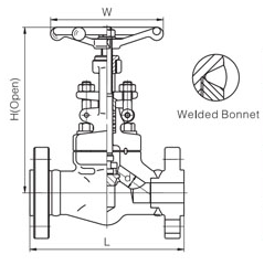 Forged Steel Globe Valve (3)