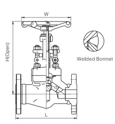 Forged Steel Globe Valve (1)