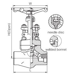 Forged Steel Globe Valve (4)