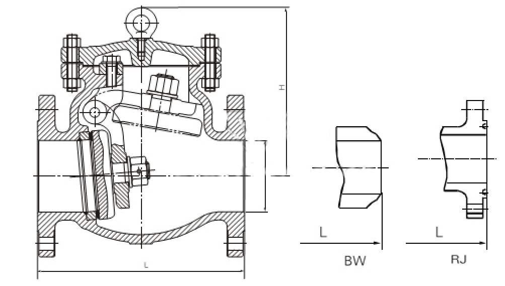 API Cast Steel Check Valve