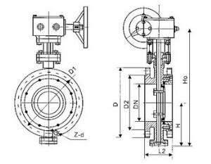 Cast Steel Double Eccentric Butterfly Valve (2)