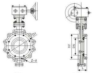 LUG Type Butterfly Valve (2)