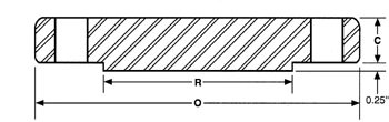 BLIND FLANGE (1)