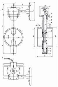 Grooved Butterfly Valve (2)