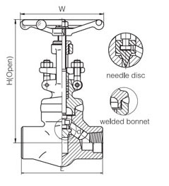 Forged Steel Globe Valve (5)