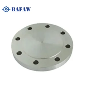 Stainless Steel Blind Flange