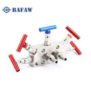 Integrated Five-Valve Assembly 01